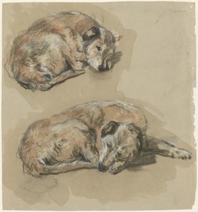 Deux études d