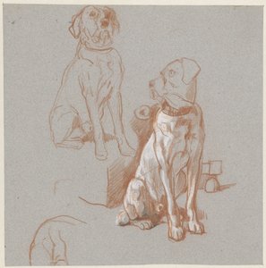 Deux études d