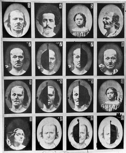 Études physiognomoniques, de 