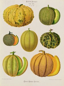 Melons : Tab. XIX, de l