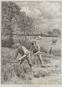Scènes agricoles, juin, fauchage du trèfle - Gunning King