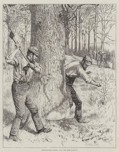 Scènes agricoles, Mai, la récolte de l