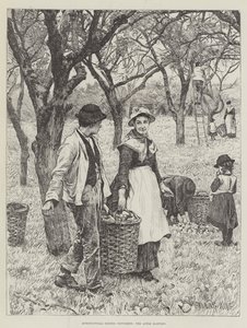 Scènes agricoles, novembre, la récolte des pommes