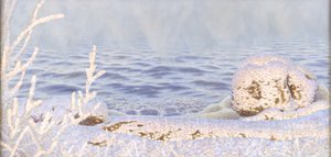 Le premier souffle de froid sur l