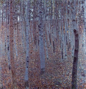 Forêt de hêtres