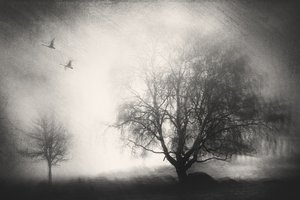  - Gustav Davidsson