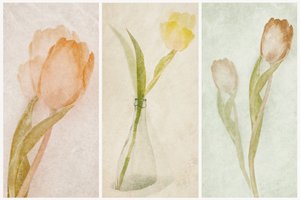 Triptyque « Tulipes » à l