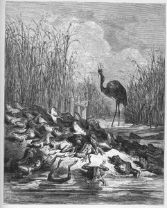 Les Grenouilles qui demandent un roi - des 