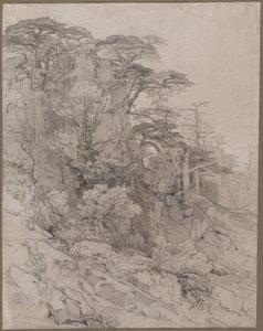 Arbres sur une colline rocheuse - Gustave Achille Guillaumet