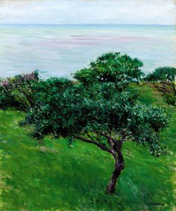 Pommiers au bord de la mer, Trouville - Gustave Caillebotte