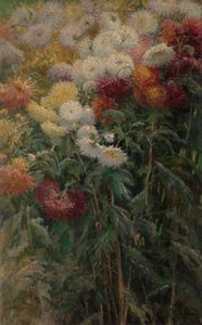 Chrysanthèmes dans le jardin de Petit-Gennevilliers - Gustave Caillebotte