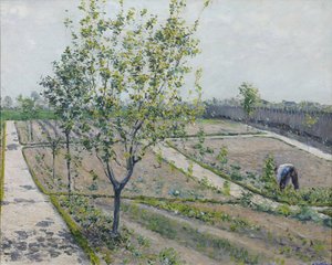 Jardin potager, Petit Gennevilliers - Gustave Caillebotte