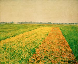 La plaine de Gennevilliers, champs jaunes - Gustave Caillebotte