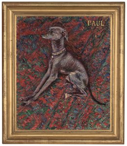Le chien 