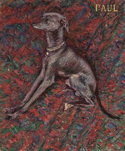 Le chien 