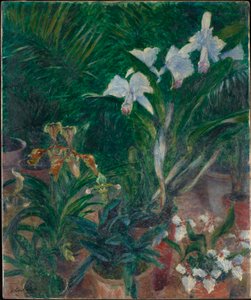 Orchidées dans la serre du Petit Gennevilliers, 1893 - Gustave Caillebotte