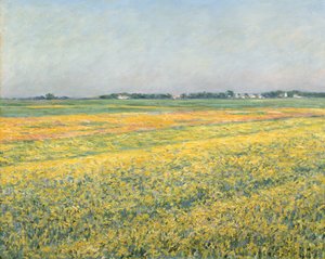 La plaine de Gennevilliers, champs jaunes, 1884 - Gustave Caillebotte
