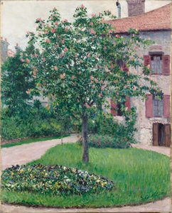 Arbre en fleur, 1882 - Gustave Caillebotte