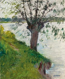 Saule au bord de la rivière, vers 1891