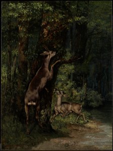 Cerf dans la forêt - Gustave Courbet