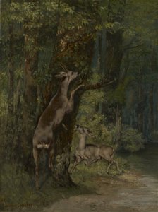 French: Cerfs dans la forêt Deer in the Forest - Gustave Courbet