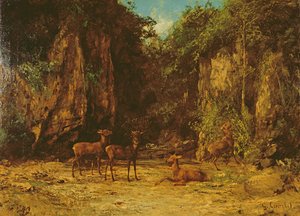 Troupeau de Cerfs Rouges au Crépuscule