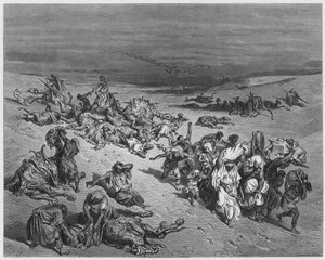 Gustave Doré Bible : La peste des bêtes - Gustave Dore