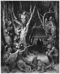 Harpies, illustration de 