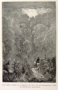 Illustration de la forêt américaine. de La légende de Croque-Mitaine. - Gustave Dore