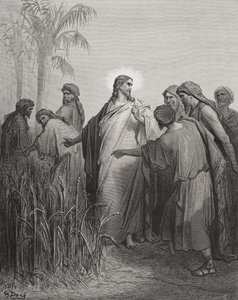 Jésus et ses disciples dans le champ de blé, illustration de 
