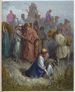 Ruth et Booz - Ruth travaillant dans les champs de Booz - gravure dans "La Bible illustrée" par Gustave Doré - Gravure de "La Bible de Doré"