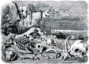 Sindbad le marin - conte des mille et une nuits - illustration de Gustave Doré - édition Maxwell 1865 - Septième et dernier voyage : le cimetière des éléphants où Sindbad récupérera les défenses en ivoire - Gustave Dore