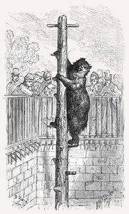 La fosse aux ours - Jardins zoologiques, 1872