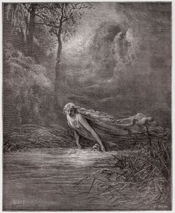 La Divine Comédie, Purgatorio, Chant 31 : Dante submergé dans le fleuve Léthé - par Dante Alighieri (1265-1321) - Illustration de Gustave Doré (1832-1883).