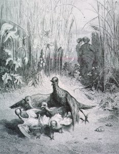 La fable de l