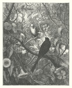 Les Fables de La Fontaine : Philomèle et Progne - Gustave Dore