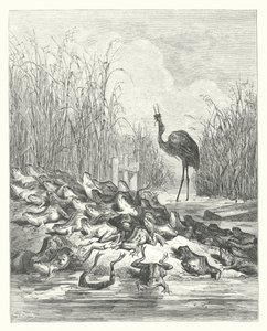 Les Fables de La Fontaine : Les Grenouilles qui demandent un roi - Gustave Dore