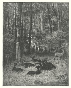 Les Fables de La Fontaine : Le Cerf malade (gravure) - Gustave Dore