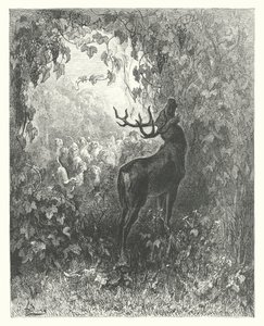 Les Fables de La Fontaine : Le Cerf et la Vigne (gravure) - Gustave Dore