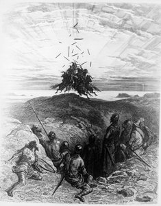 La frénésie d