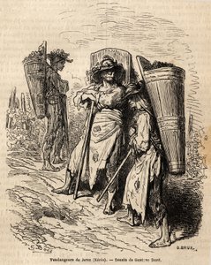 Les cueilleurs de Xérès. Dessin de Gustave Doré (1832-1883), pour illustrer son voyage en Espagne en 1862, avec Ch. Davillier. Gravure dans « Le tour du monde », édité par Édouard Charton - Gustave Dore