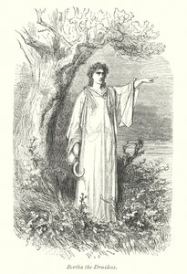 Forêt de Windsor (gravure) - Gustave Dore