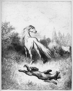 Le cheval et le loup - des "Fables" de Jean de La Fontaine - Gustave Dore
