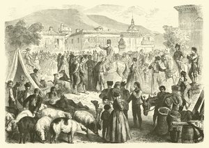 Foire annuelle de la ville d
