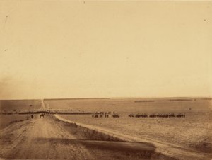 [Manœuvres de cavalerie, Camp de Chalons] - Gustave Le Gray