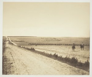 Manœuvres, Camp de Châlons - Gustave Le Gray