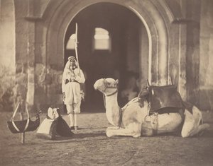 [Soldat et chameau militaire], 1866 - Gustave Le Gray