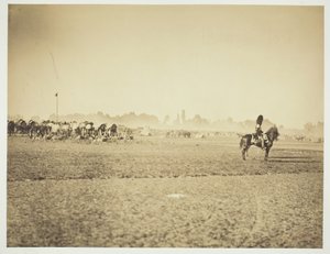 Sans titre [cavalerie] - Gustave Le Gray