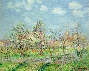 Verger en fleur