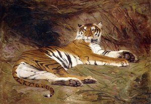 Un tigre allongé - Gustave Surand